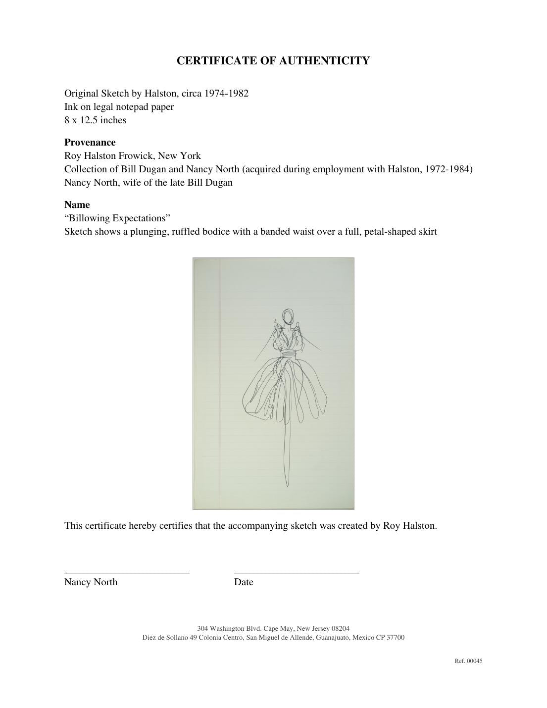Certificate of authenticity for “Billowing Expectations”