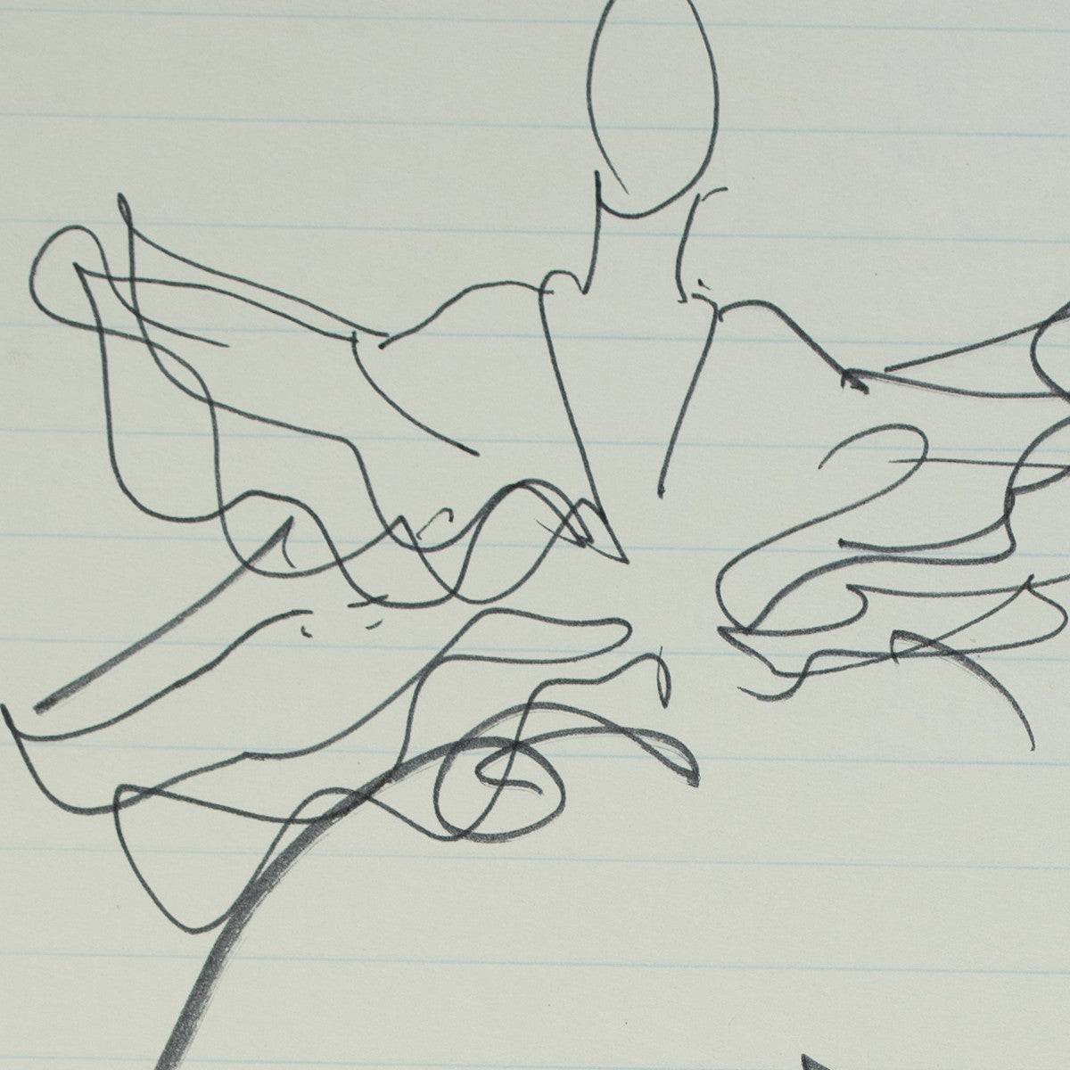 Detail of “Frill Seeker”: a close view of Halston’s pen line