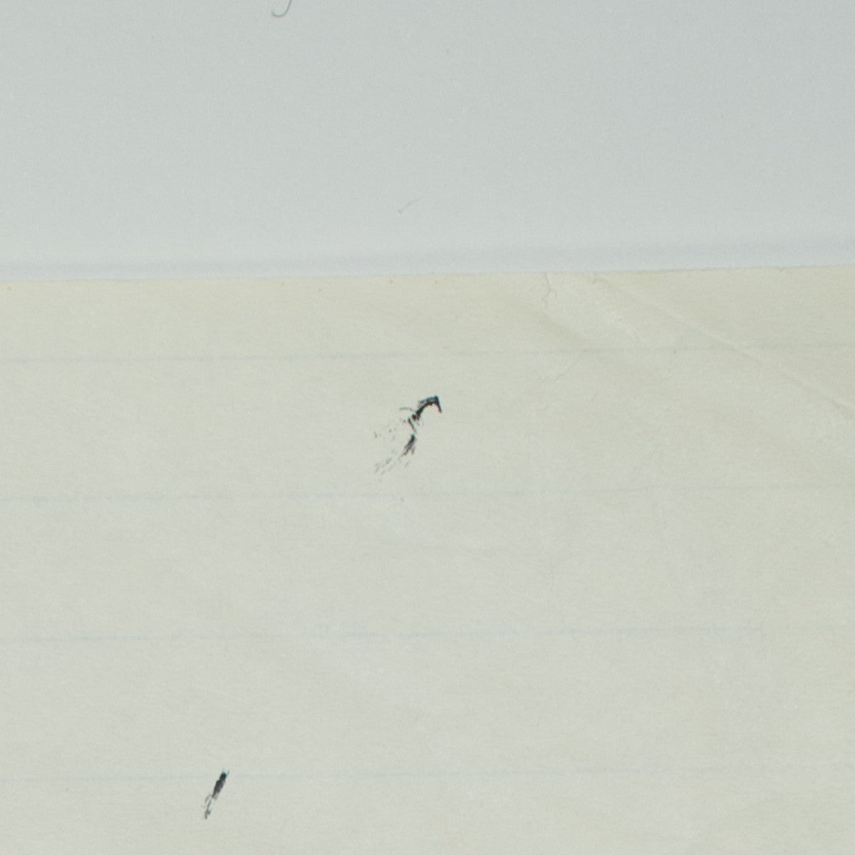 Detail of “Suited for Two”: small specks in the margin