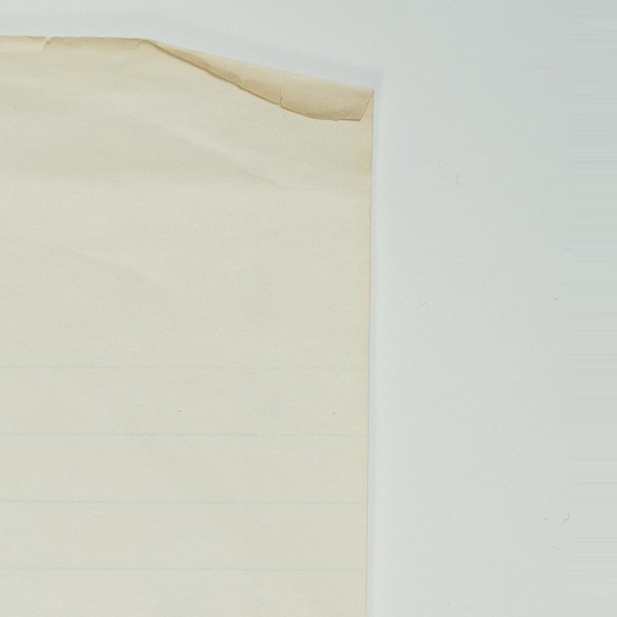 Detail of “Skin Deep”: a creased and torn corner of the sheet